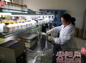 河南金百合 以微觀世界探秘驅(qū)動生物科技創(chuàng)新，開拓市場營銷新藍(lán)海